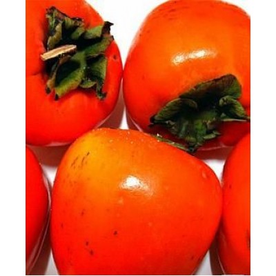 Саженец хурмы "Бычье сердце" Саженец хурмы "Бычье сердце"