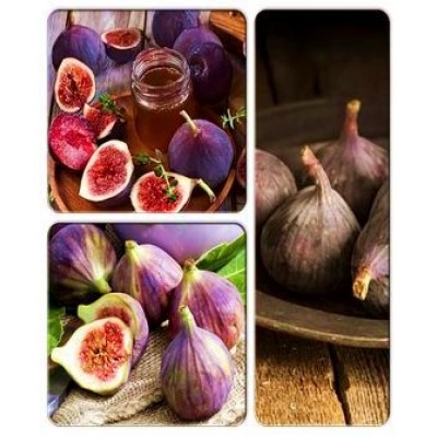 Инжир > коллекция из 3-х сортов: Инжир Медовый => Инжир Неаполитанский => Инжир Фиолетовый Абхазский Инжир > коллекция из 3-х сортов: Инжир Медовый => Инжир Неаполитанский => Инжир Фиолетовый Абхазский