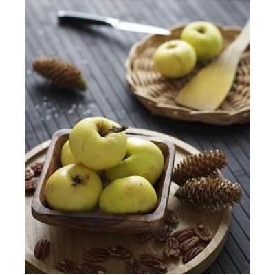 Саженец яблони "Донешта" Саженец яблони "Донешта"